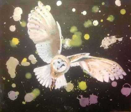 Barn Owl