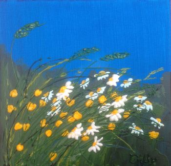 Buttercups and Daisies