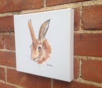 Hare OUT OF STOCK, CAN BE ORDERED