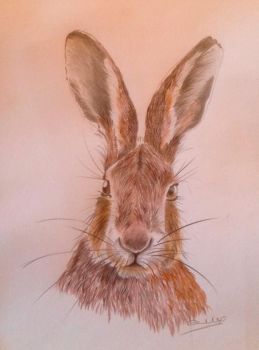 Sunday Morning Hare - SOLD
