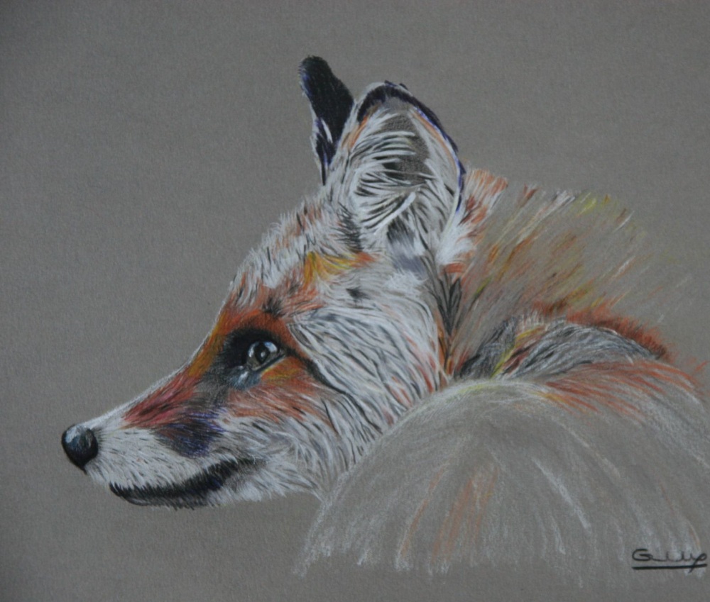 Fox
