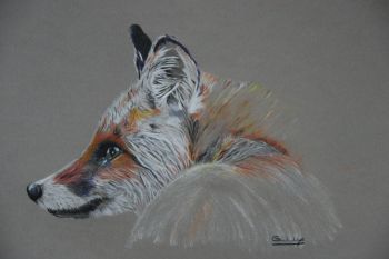 Fox - SOLD Prints and cards available 