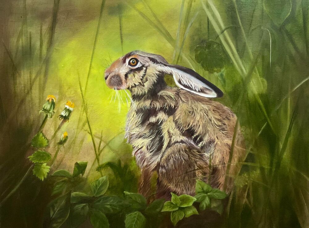 Hare 1