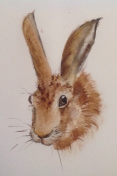 Hare SOLD - Prints and cards available