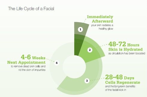 Facial Life Cycle