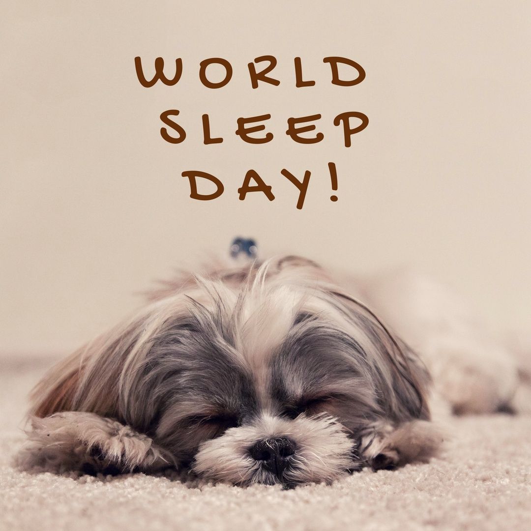 World Sleep Day