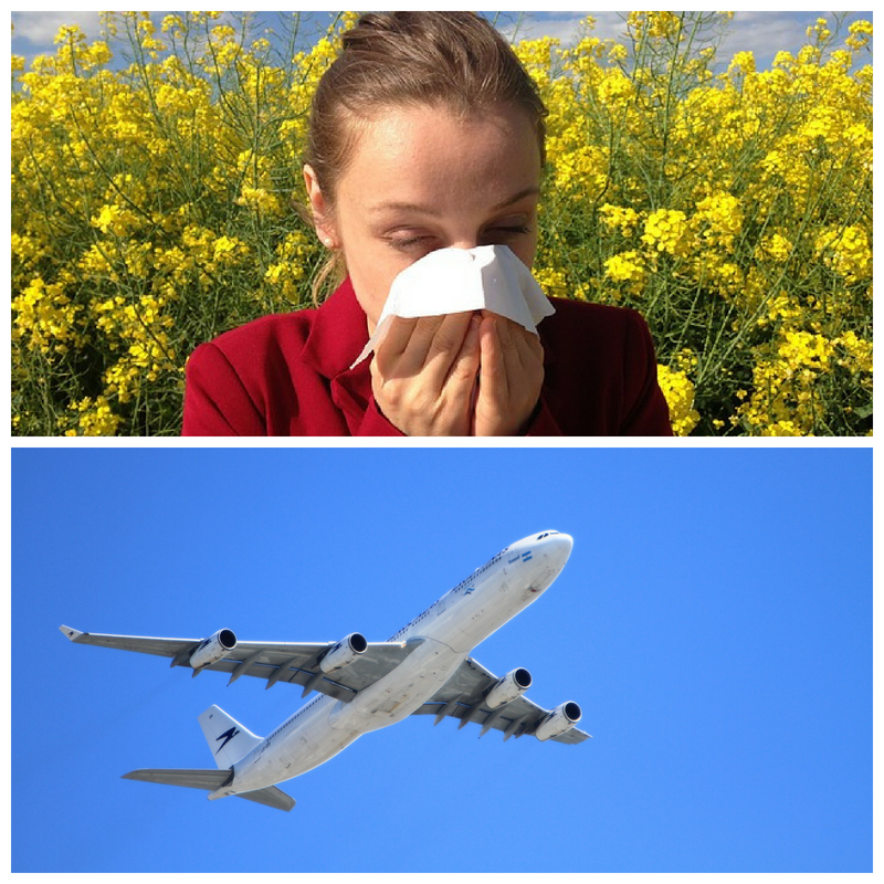 Hay Fever and Travel Soother
