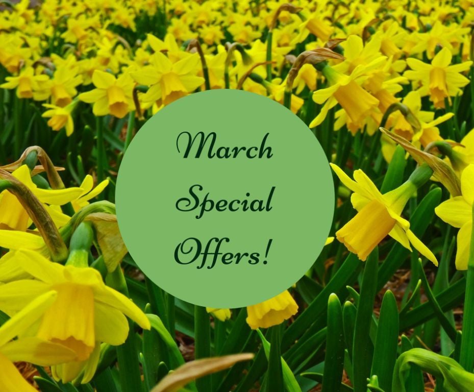 March Special Offers