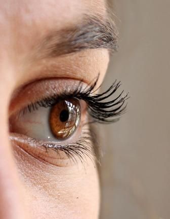Accredited Lash & Brow Treatments and Lash Lift or Perm Diploma (1 day)