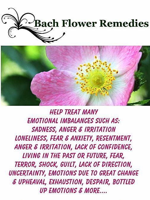 Bach Flower Consultations & Customised Remedies