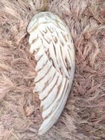 Hand Crafted White Wood Angel Wing