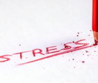 Revive Self  Care Hive: Stress Management