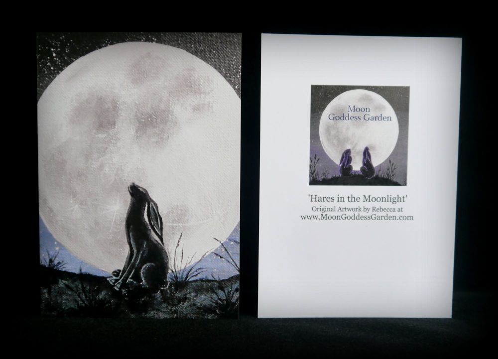 Moon gazing Hare Greeting Card 'Moon Gazing Hare'