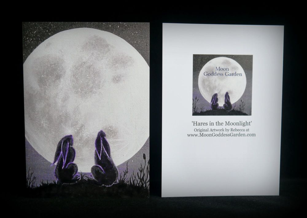 Moon gazing Hare Greeting Card 'Gazing Together'