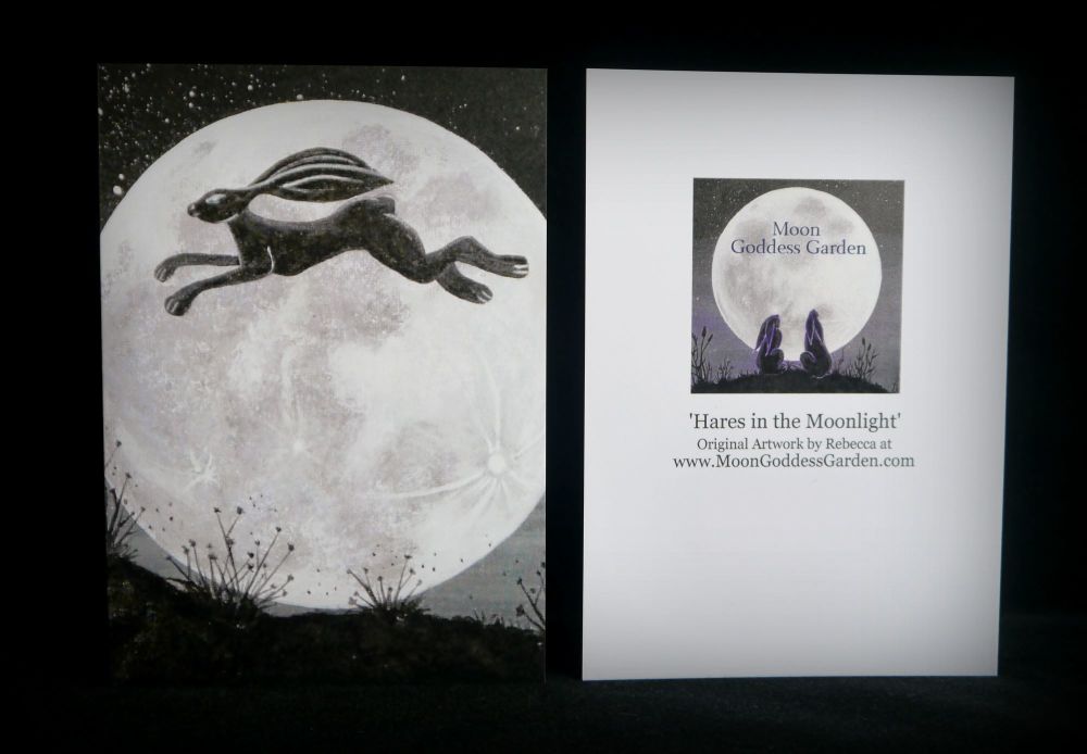 Moon gazing Hare Greeting Card 'Jump the Moon'