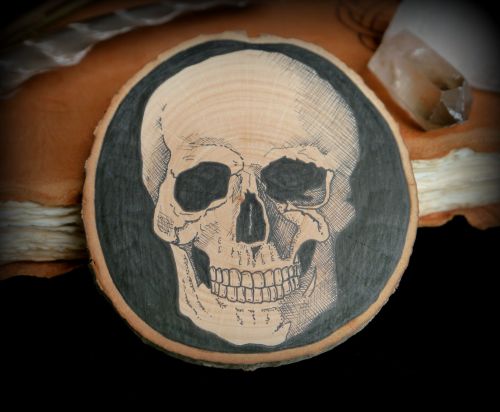 Witches Skull Pen and Ink Original drawing on Alder Wood