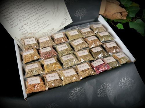 Witches 25 Herb Starter Kit