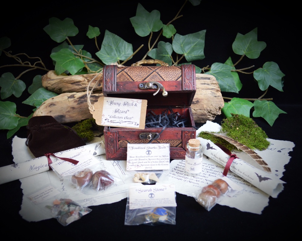Young Wizard or Witches Collector Chest Starter kit With Scarab, Antler and Potion Bottle