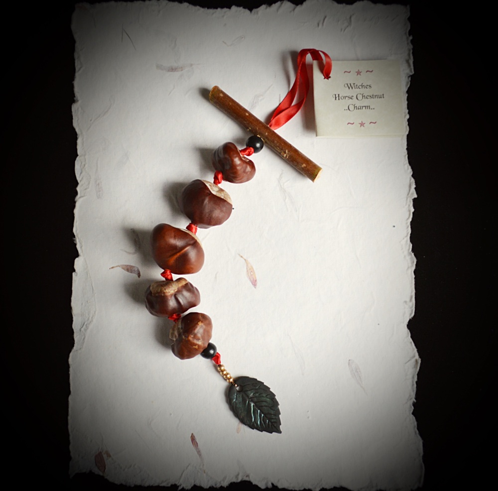 Witches Horse Chestnut Charm for Wealth & Success!