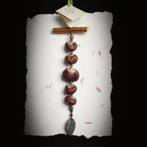 Witches Horse Chestnut Charm for Wealth & Success!