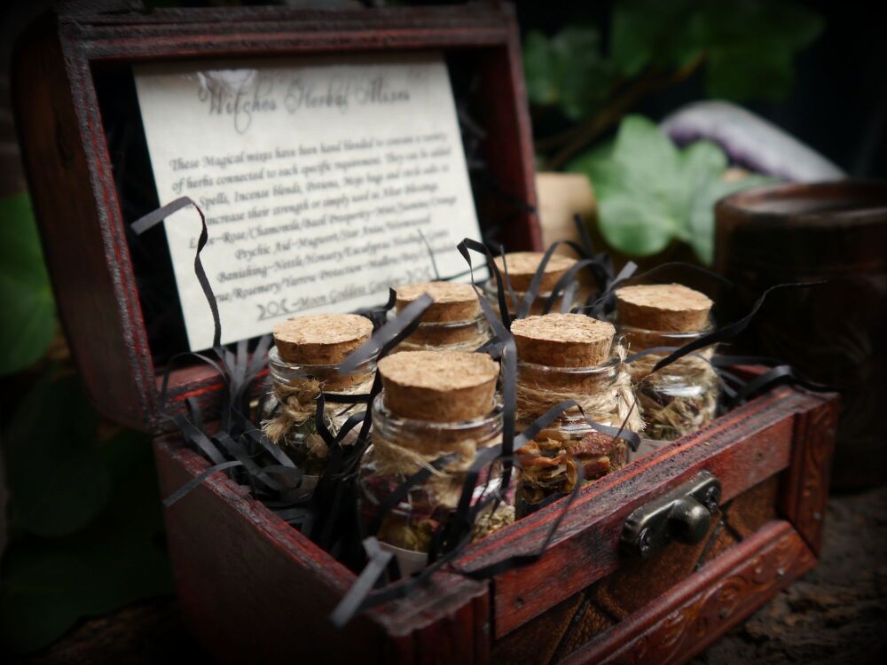 Witches Apothecary Magical Herb Mixes Chest Set Potion Bottles