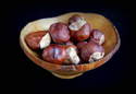 Horse Chestnuts (Buckeye)