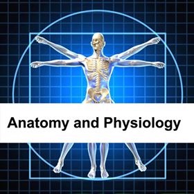Anatomy & Physiology - Essential Online Qualification 