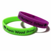 Penn Wood Primary 2 - Custom Printed School Trip Wristbands by Promo-Bands