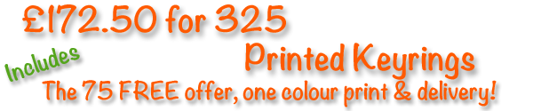 325-printed-silicone-keyrings