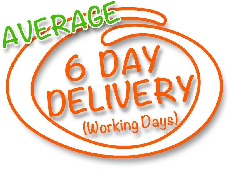 6-day-delivery-ornage