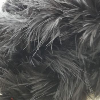 Clearance Item - Marabou Black 2 Metre Length