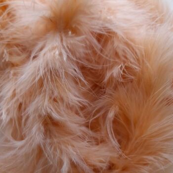 Clearance Item - Marabou Peach 2.2 Metre Length