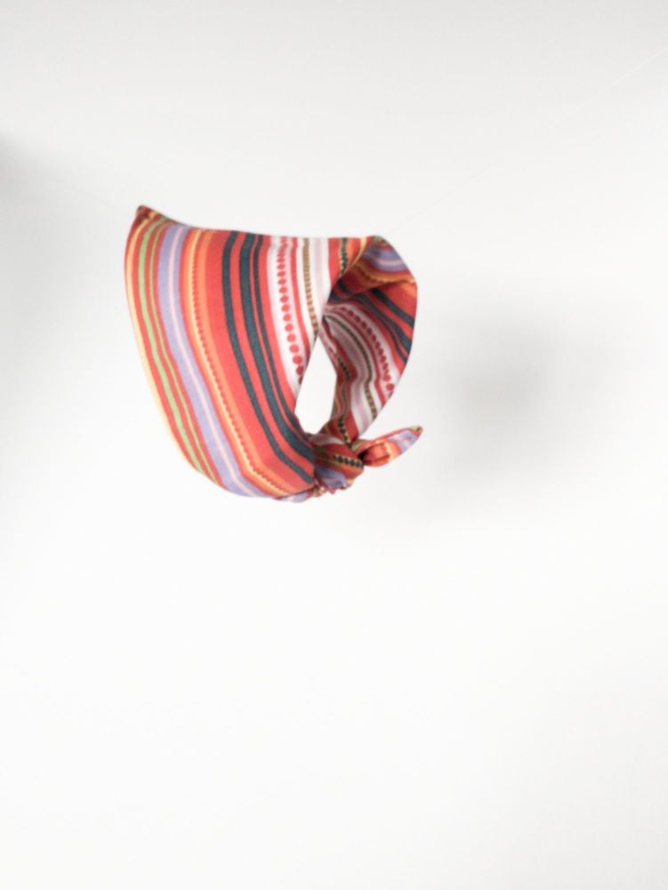 Brightly Striped Triangular Tie On Dog Bandana