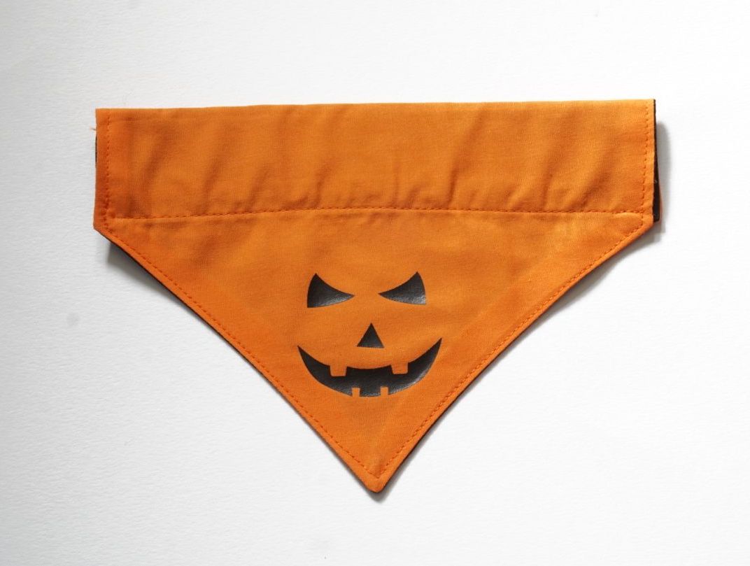 Reversible Over Collar Halloween Dog Bandana