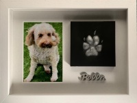 Pet Paw with a 6x4 photo - Small