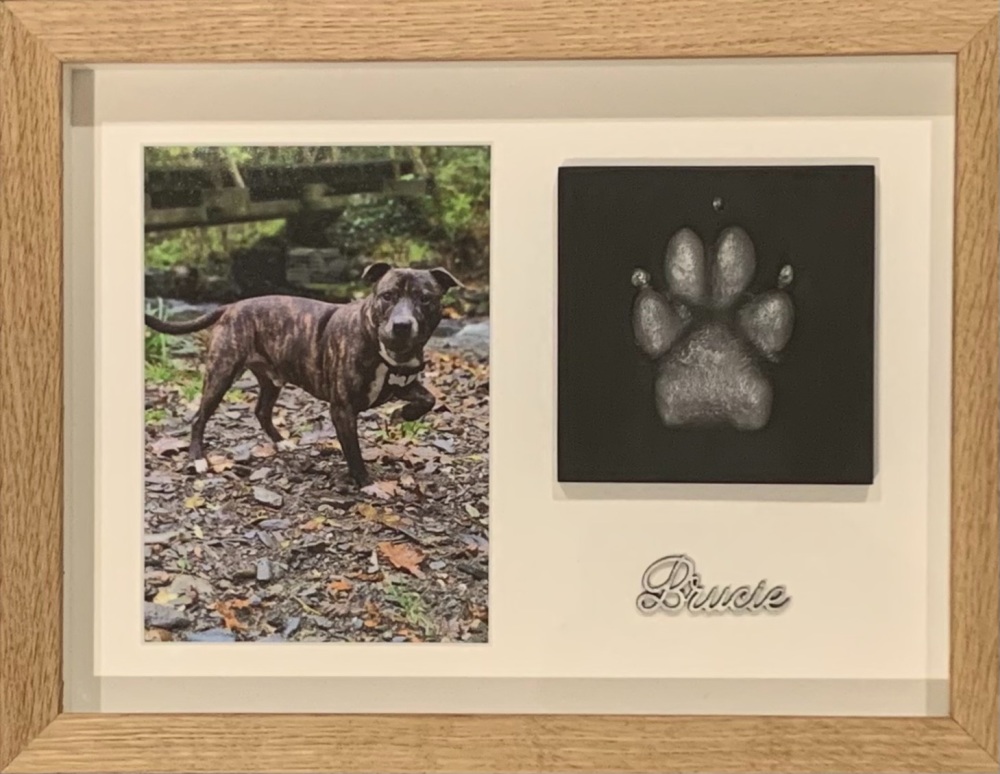 Single Pet Paw with a 7x5 photo Medium-Large Dogs