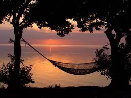 hammock on beach