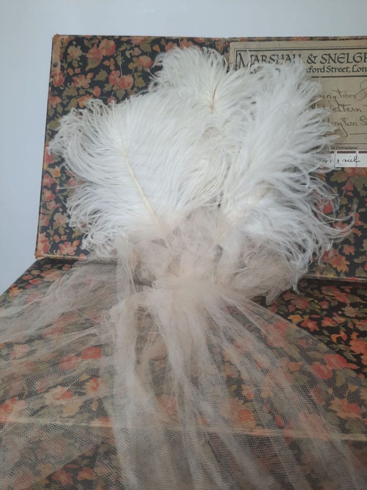 Court Feathers and Veil c.1920s