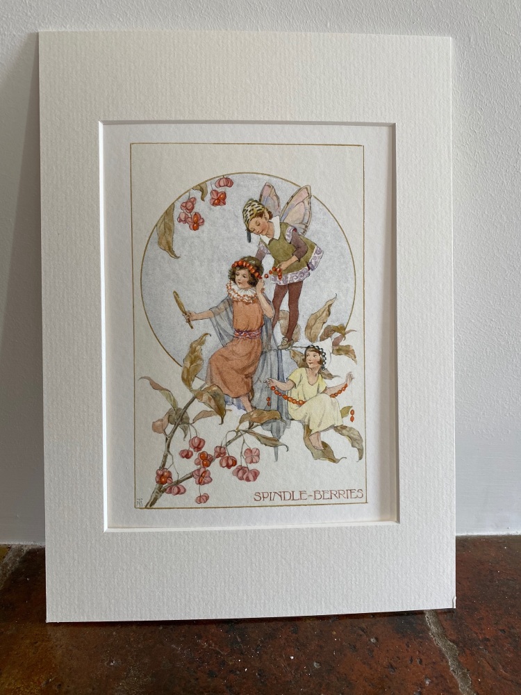 Mounted Print - The Spindle Berry Fairies