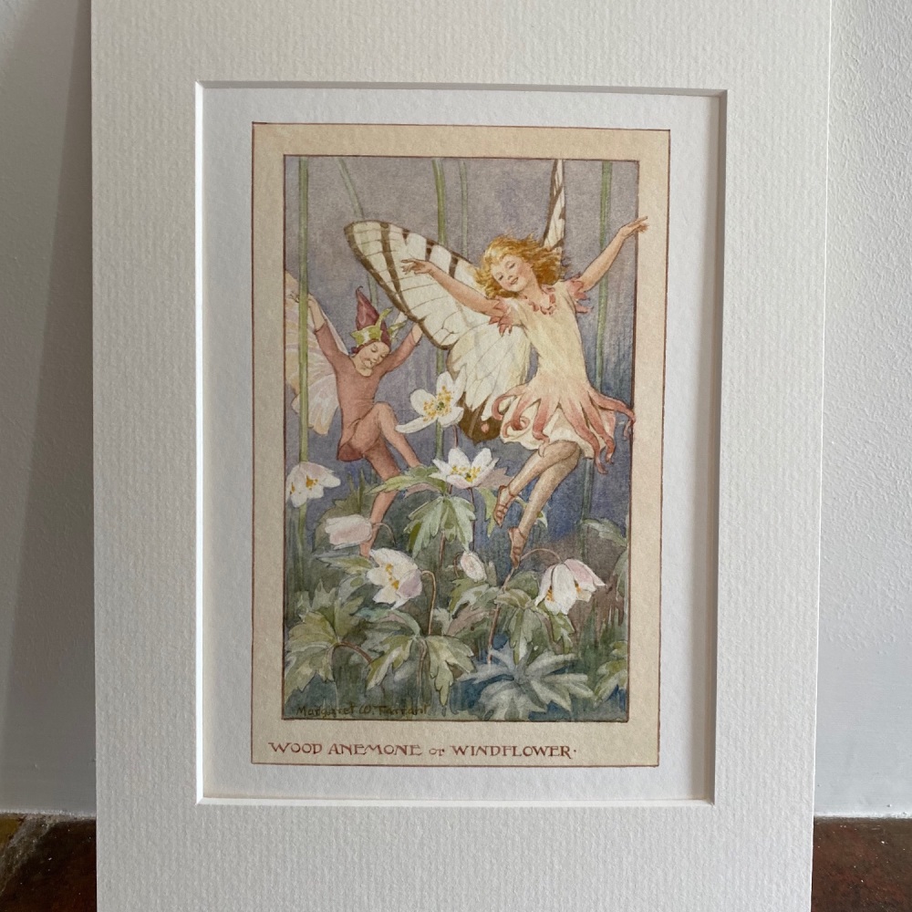 Mounted Print - The Wood Anemone Fairy