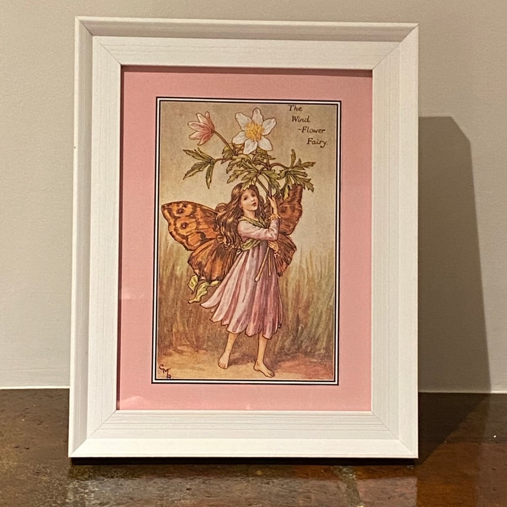 Framed Fairy Picture - The Windflower Fairy
