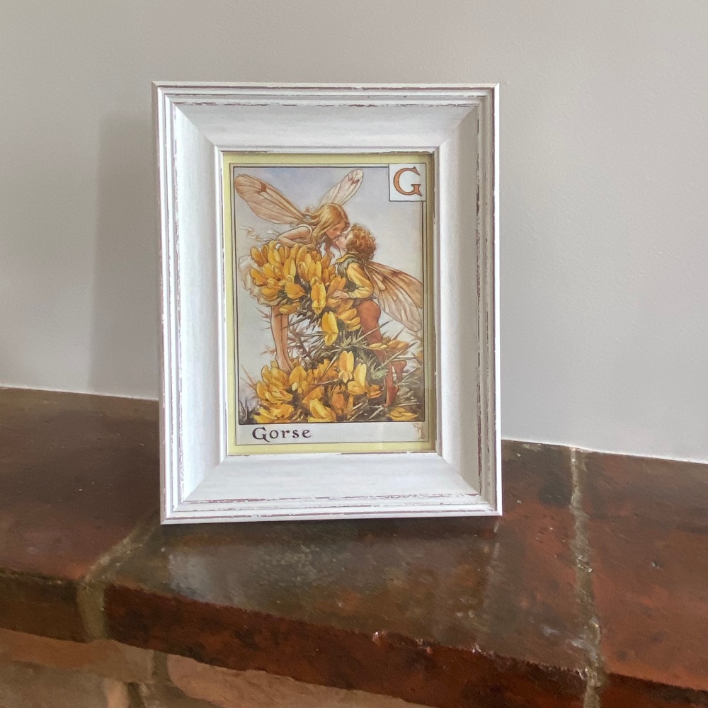 Framed Fairy Picture - The Gorse Fairies