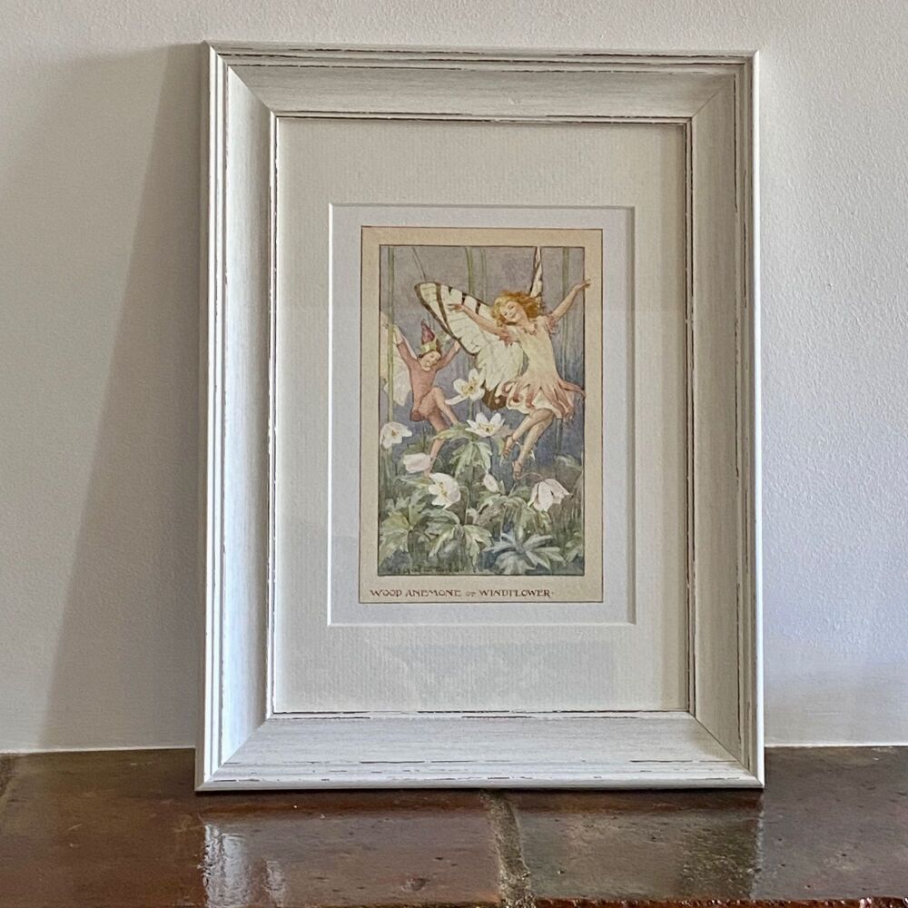 Framed Print - The Wood Anemone Fairy