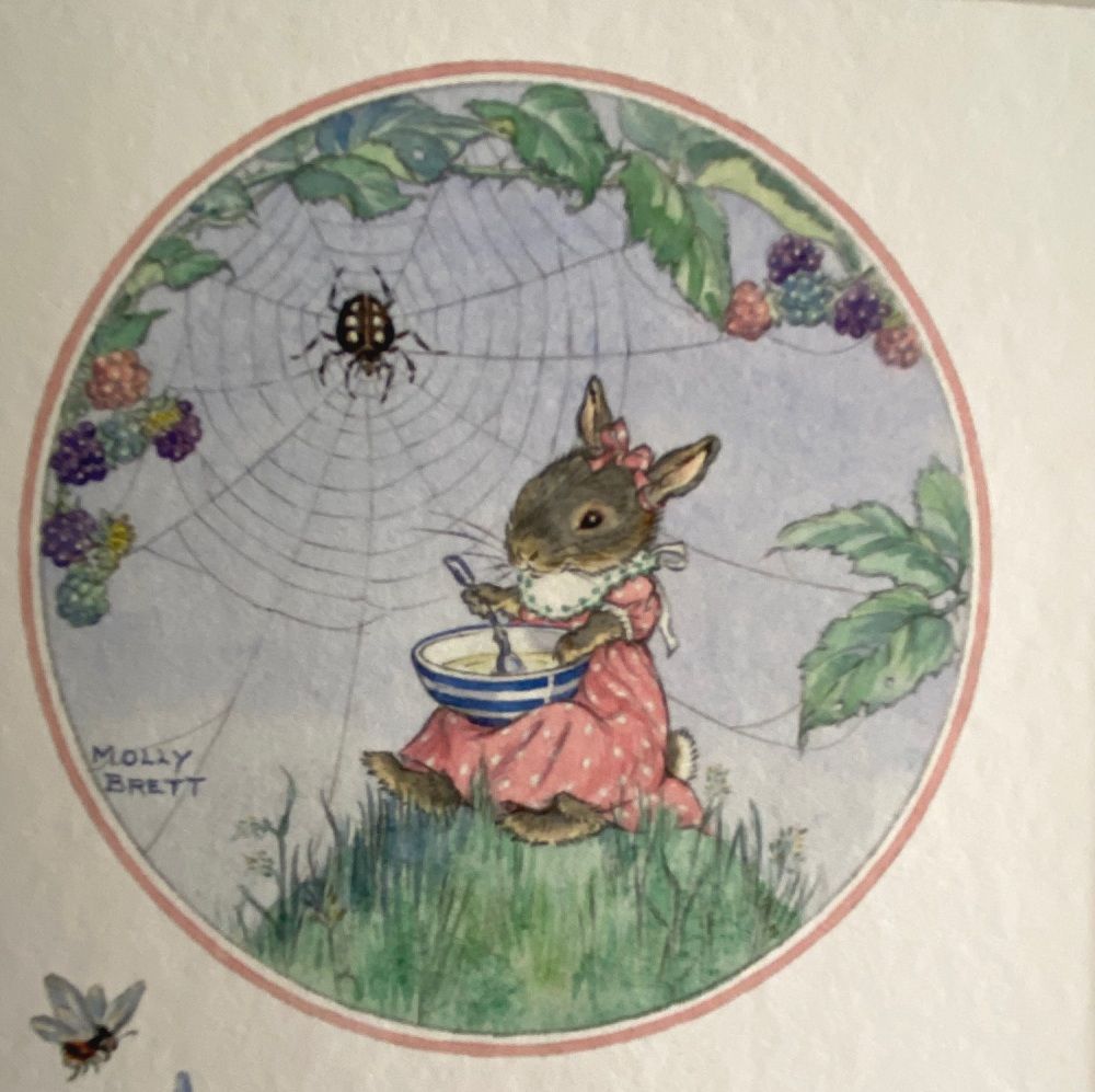 By Molly Brett