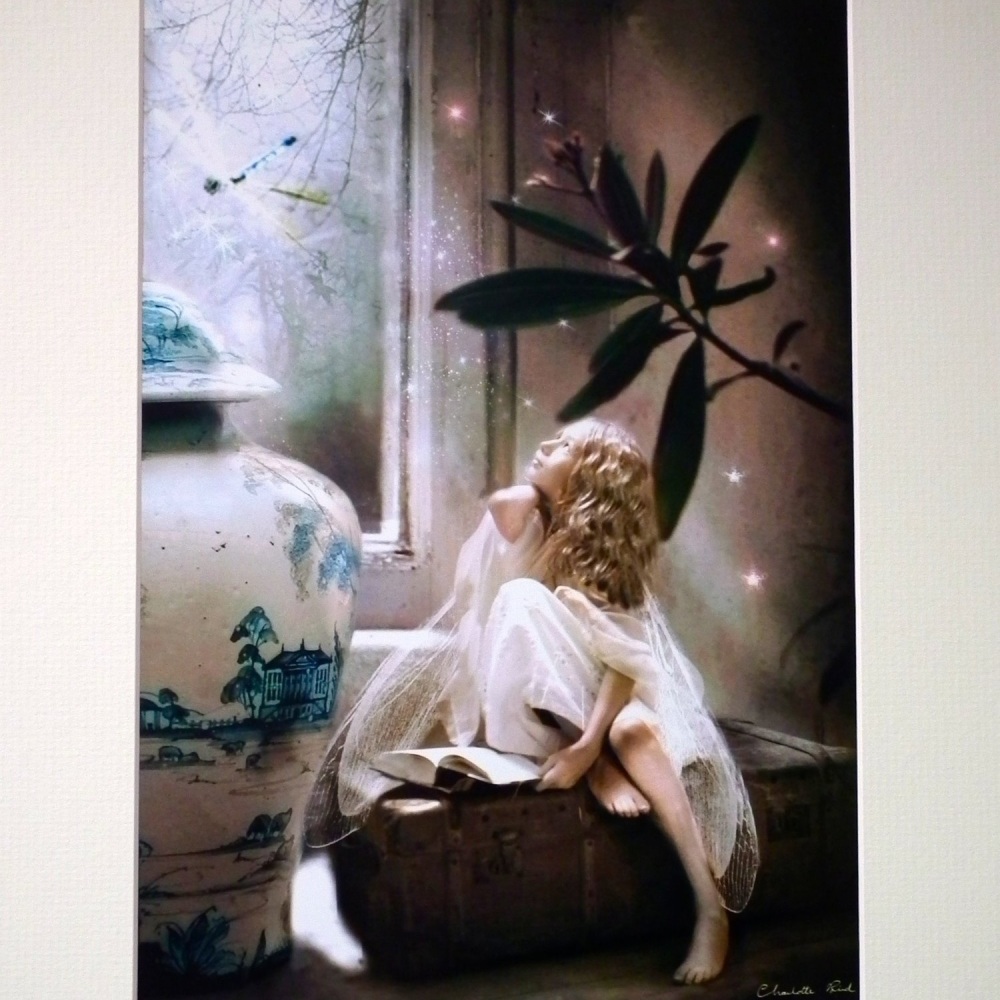 Fairy Print - Star Gazing