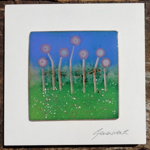 Spring Flowers