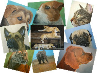Animal paintings
