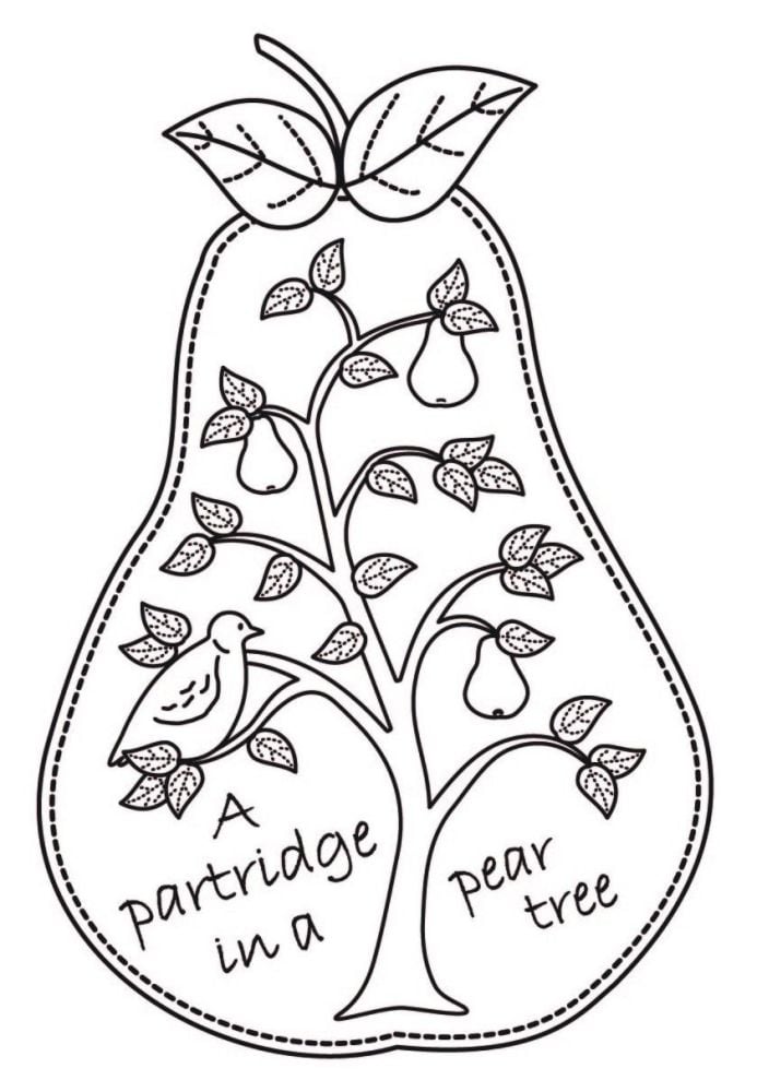 A7 Partridge in a Pear Tree