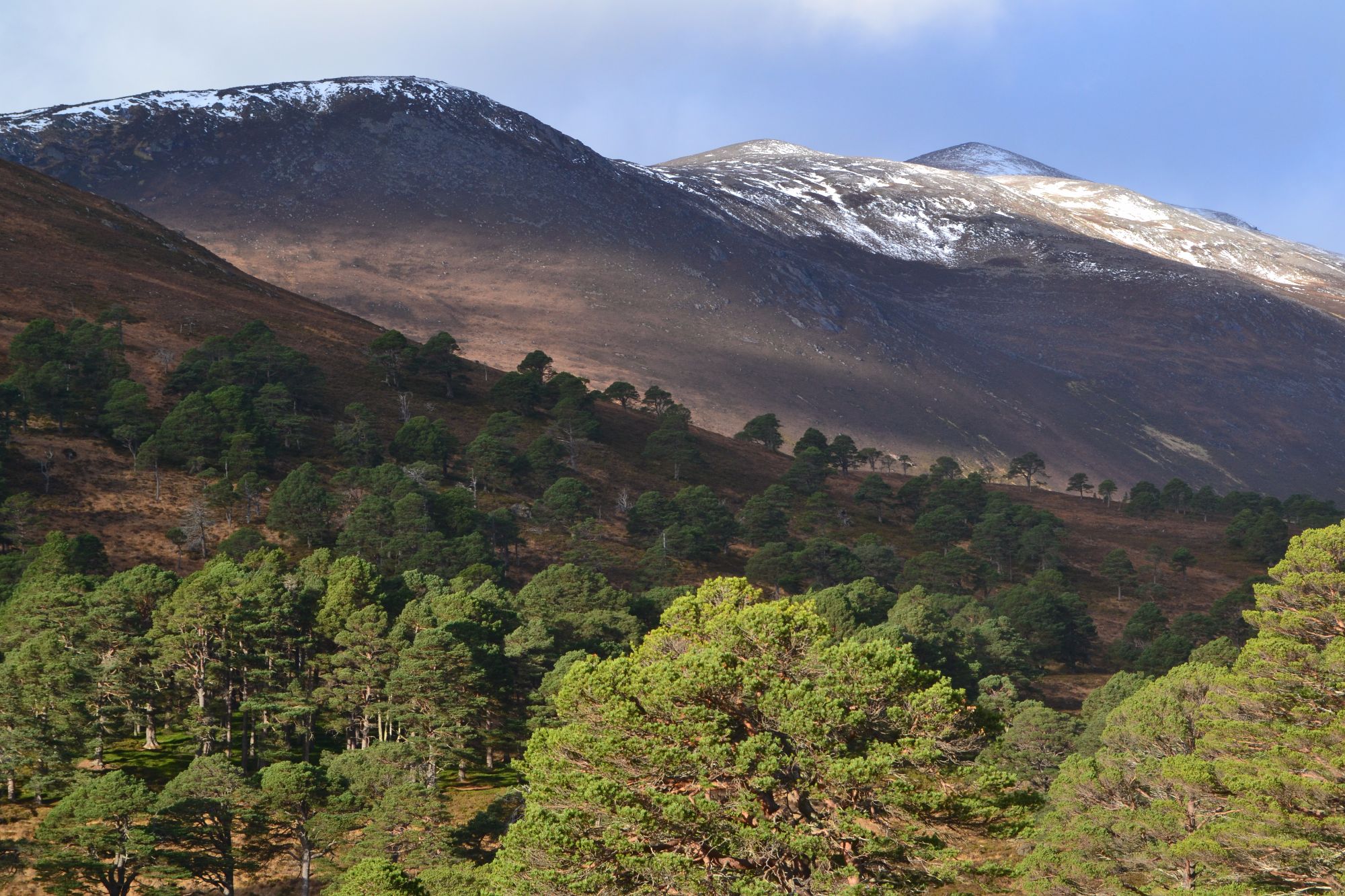 glen derry