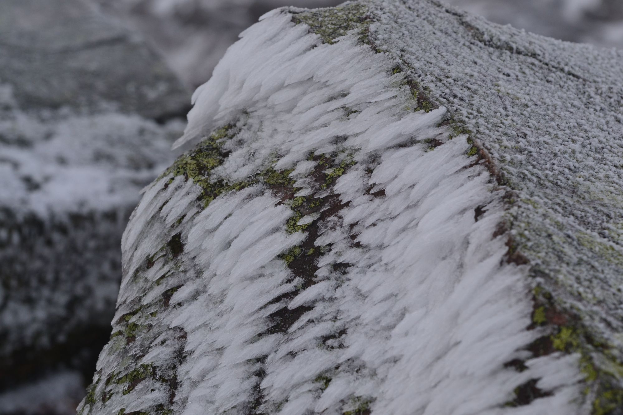 ice on rock